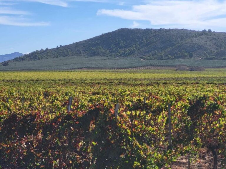 Wine Trip In The Alicante Region Served 4 Courses Lunch! Overview Of The Wine Day Trip