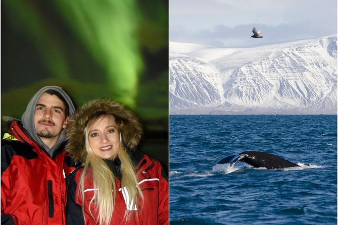 Winter Whale Watching & Northern Lights Cruise | Combo From Reykjavik Tour Overview