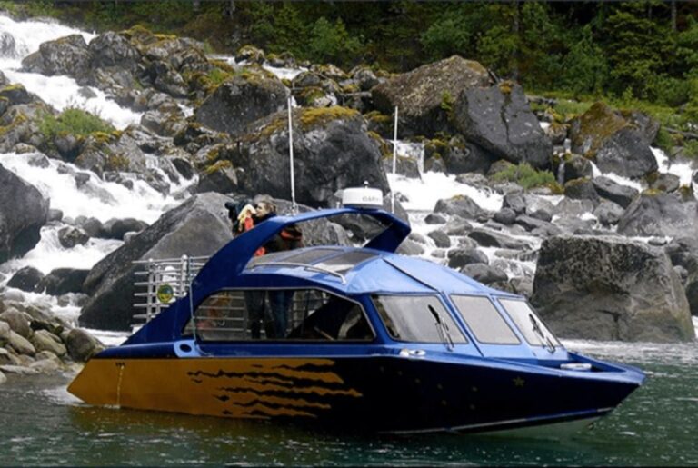 Wrangell: Leconte Glacier Boat Tour Tour Overview