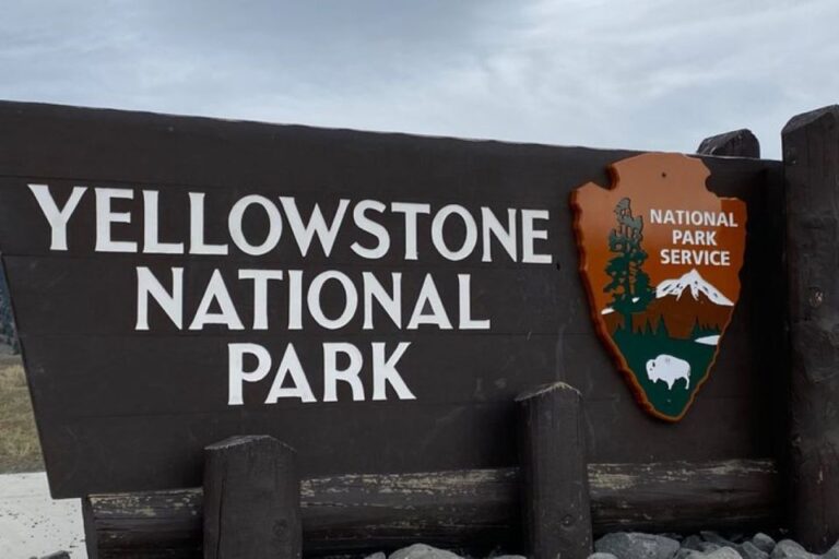 Yellowstone, Mt: Lower Loop Private Tour Tour Details