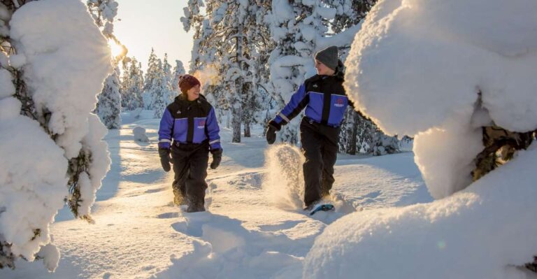 Ylläs: Forest Hike With Snowshoes And Campfire Snacks Activity Overview