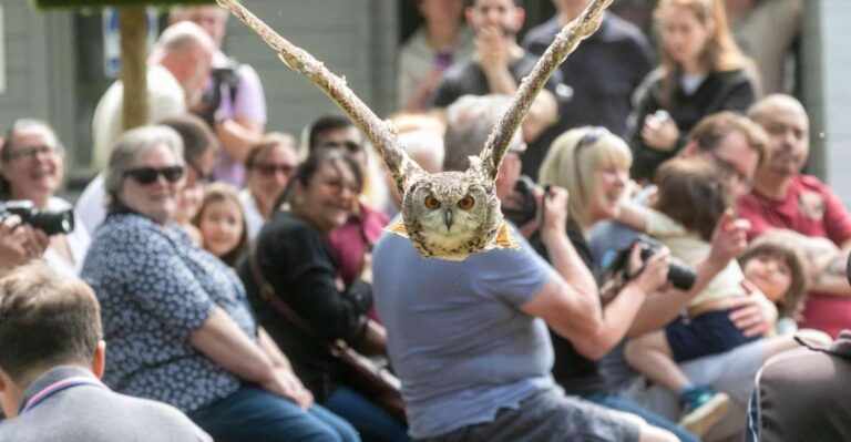 York: Entry To York Bird Of Prey Centre Location And Operating Hours