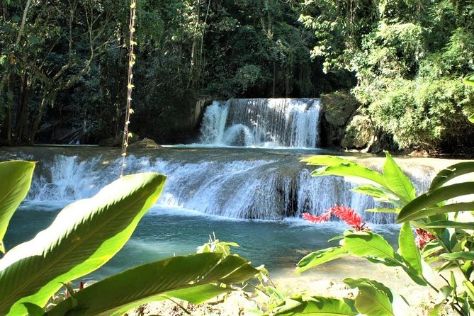 Ys Falls And Black River Safari Guided Tour From Montego Bay And Grand Palladium Included In The Tour