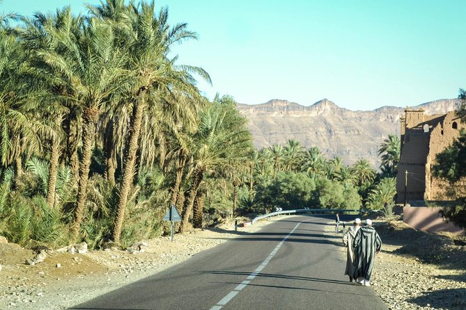 Zagora Desert And Draa Valley Day Trip From Ouarzazate Highlights Of The Tour