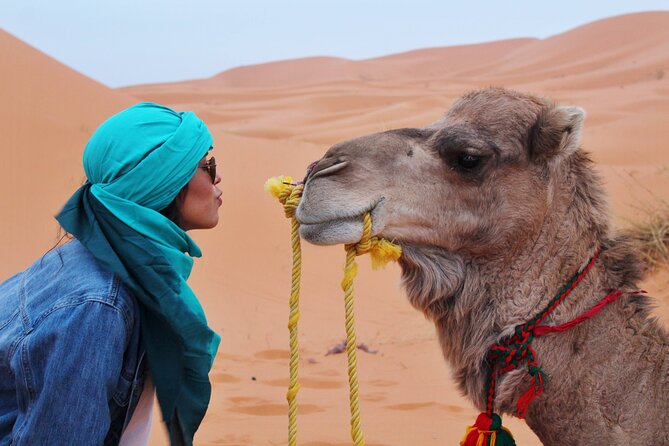 Zagora To Erg Chigaga Desert Tour & 4x4 And Camel Ride Unforgettable Sahara Desert Experience