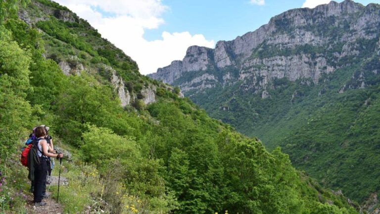 Zagori: Hiking In Vikos Gorge Activity Overview