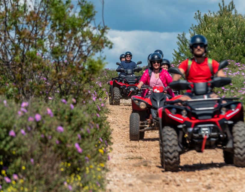 Žedno: Off-road Čiovo Island ATV Quad Bike Tour - Tour Overview