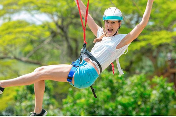 Zipline Adventure, Snorkeling Cruise, Sharks & Rays Encounter From Punta Cana Included Activities