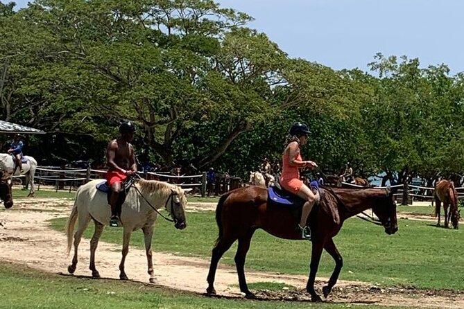 Zipline, Horseback Ride, ATV and Catamaran From Montego Bay - Tour Overview