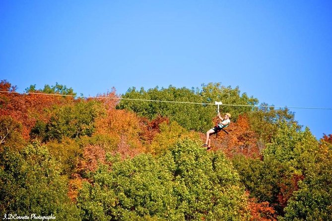 Ziplines Over the Laurentian Mountains at Mont-Catherine - Zipline Course Overview