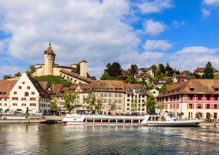 Zurich: Private Car Tour Rhine Falls, Titisee & Black Forest Tour Highlights