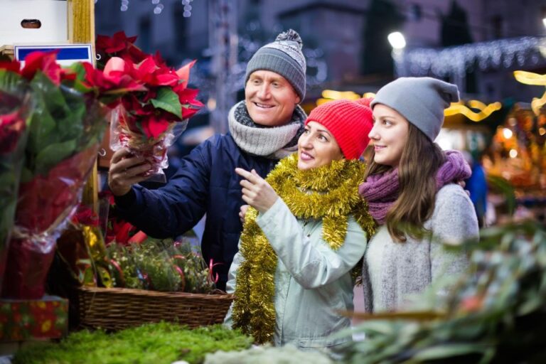 Zurich's Enchanted Christmas: A Festive Journey Overview And Tour Highlights