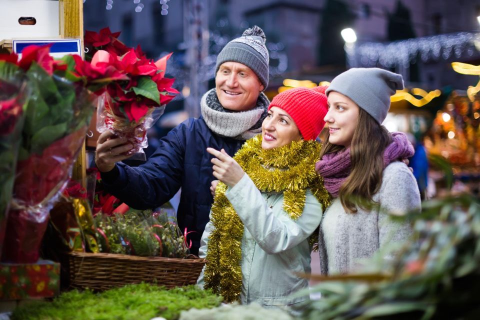 Zurich's Enchanted Christmas: A Festive Journey - Overview and Tour Highlights