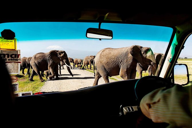 2-Day Amboseli National Park Safari- Daily Departures - Key Points