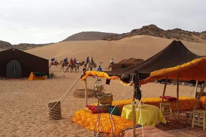 2-Day Zagora Tour From Marrakech Including the Atlas Mountains, Camel Trek and Desert Camp - Inclusions and Amenities