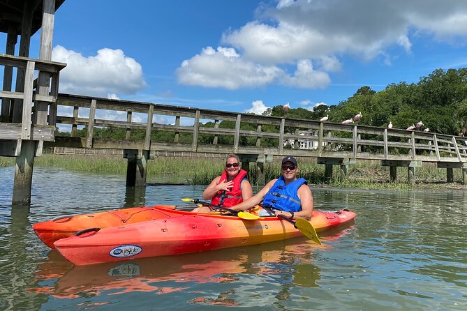 2-Hour Hilton Head Guided Kayak Nature Tour - Key Points