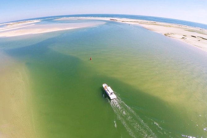 2 Hours Boat Tour in Ria Formosa - Wildlife and Biodiversity