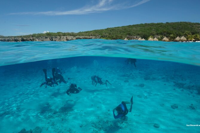 2 Tank Guided Dive House Reef (Pierbaai Reef and Car Pile) - Overview of the Dive Experience