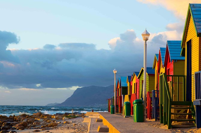 1 Day Cape Point Explore With Boulders Penguins Small Group Tour - Tour Schedule and Accessibility