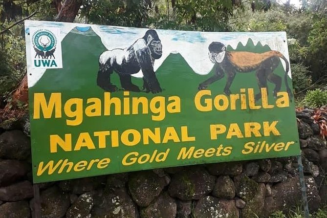 1 Day Gorilla Trekking Uganda - Pickup and Meeting Points