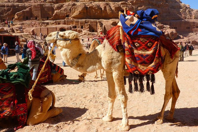 1 Day Tour to Petra From Sharm-el-Sheikh - Petras Beauty