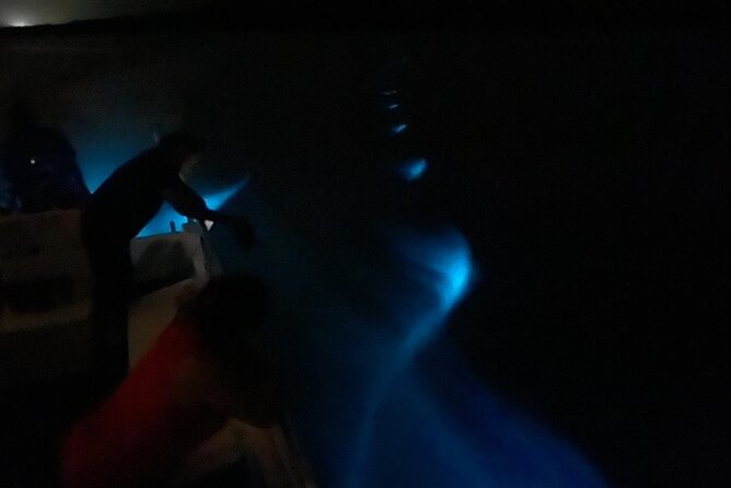 1-Hour Bioluminescent Boat Tour in Mosquito Bay, Vieques - Booking and Confirmation