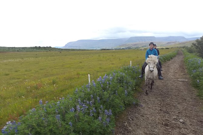 1+ Hour Private Horse Riding Tour From Reykjavík/Mosfellsbær - Meeting and Pickup