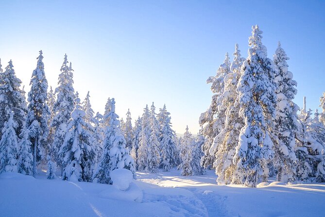 1-Hour Snowmobile Safari Adventure in Rovaniemi - Included Services and Equipment