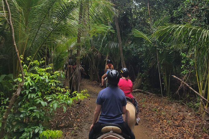 1 or 2 Hour Puerto Rico Horseback Ride Experience! - Included and Excluded