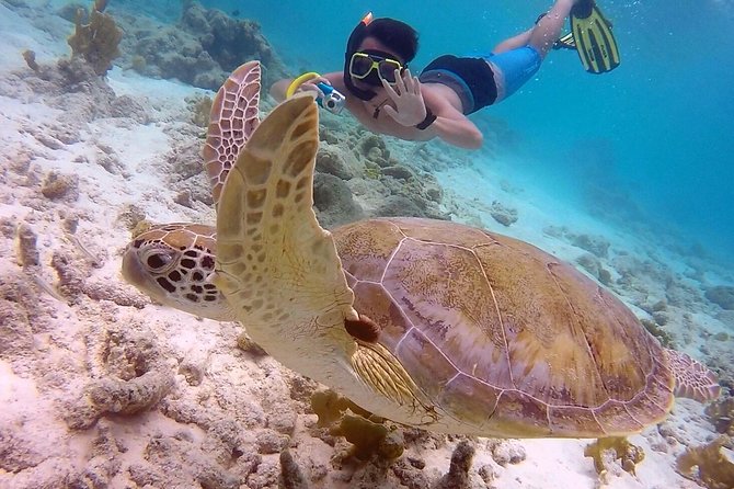 100% Private Snorkel & Sail Charter (Cruisefriendly) - Private Yacht and Crew