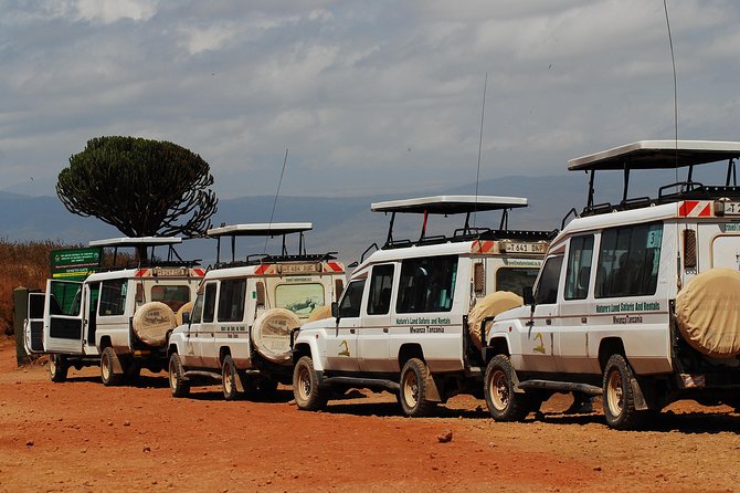 2 Day Serengeti Safari Experience From Mwanza - Comfortable Safari Vehicles