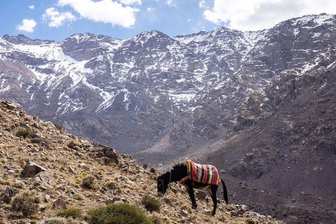 2-Day Toubkal Trek From Marrakech With Local Guide - Pickup and Drop-off Details