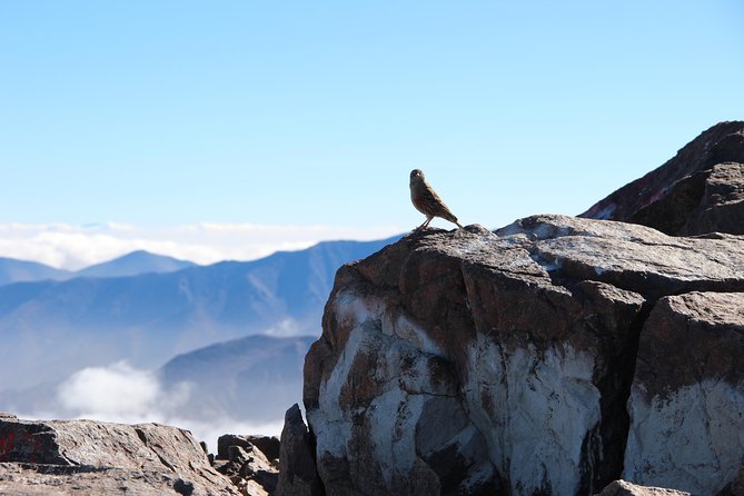 2 Days Toubkal Trek - Guided Experience