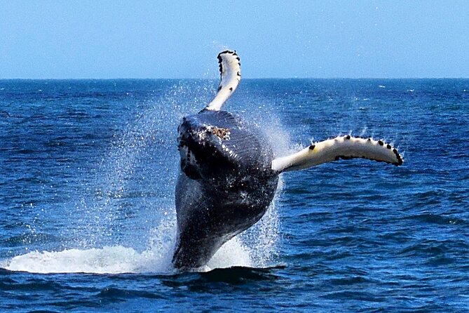 2-Hour Guided Boat Tour From St. Johns - Meeting and Pickup