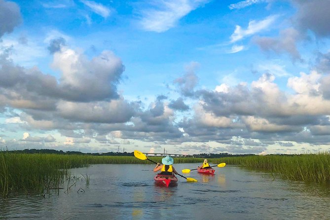 2-Hour Hilton Head Guided Kayak Nature Tour - Inclusion and Meeting