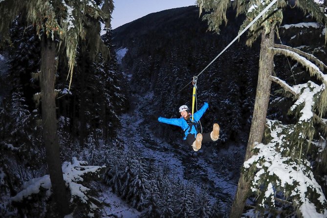 2 Hour Late Afternoon Winter Zipline Adventure - Highlights of the Zipline Experience