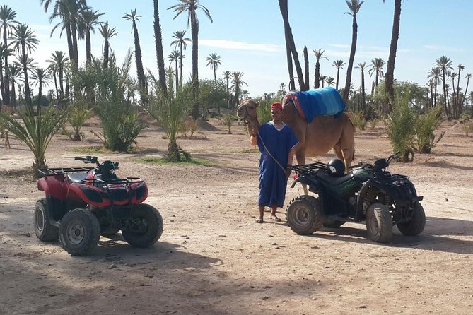 2-Hour Quad Bike & Camel Ride in Marrakech Palmeraie - Details of the Activity