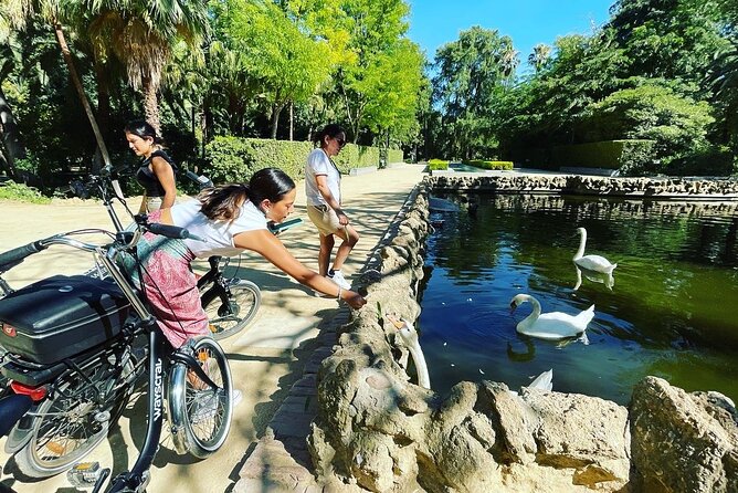 2 Hour Tour Discover Seville Like a Local on an ELECTRIC BIKE - Inclusions and Accessibility