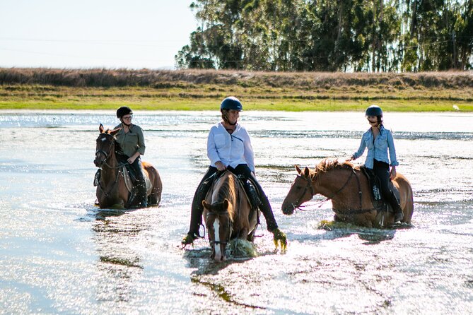 2 Hour Vineyard Trail Ride - Scenic Sights and Wildlife