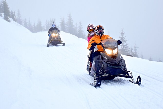 2 Hour Whistler Wilderness Adventure Snowmobile Tour - Inclusions