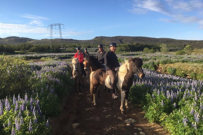 2 Hours Private Horse Riding to Lake Hafravatn, Reykjavík - Mos - Meeting and Pickup Details