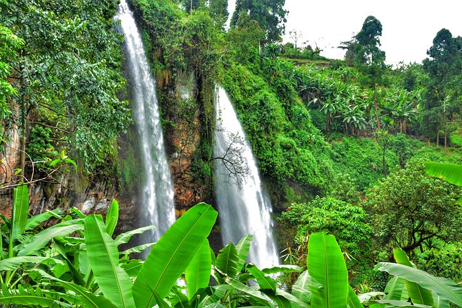 2 Sipi Falls Hike and Coffee Tour Experience - Local Culture in Mbale