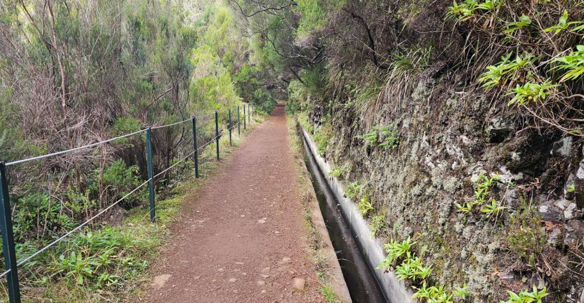 25 Levada Sources Hike - Rabacal (Calheta) - Scenic Waterways and Landscapes