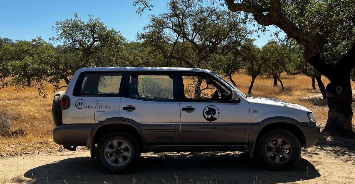 2hr Cork Tour in a 4x4 Jeep - Highlights of the Tour