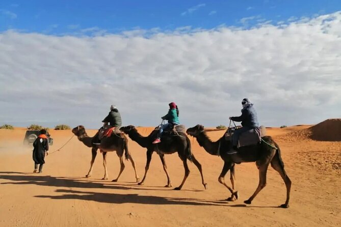 3 Day 2 Night Sahara Desert and Activities Tour From Marrakech - Pricing and Availability