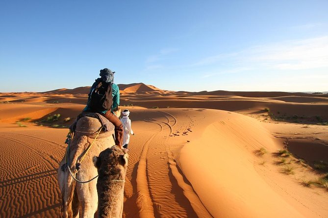 3 Day Desert Tour Marrakech to Fes - Visiting Ait Benhaddou Kasbah