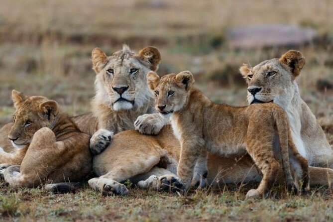 3-Day Masai Mara Safari From Nairobi - Pickup Details