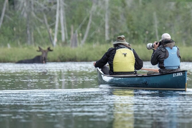 3 Day Moose Viewing Safari With Camping - Included Amenities and Activities