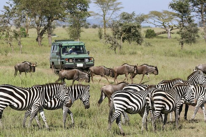 3-Day Ngorongoro Crater Manyara and Tarangire Safari From Arusha - Included in the Package