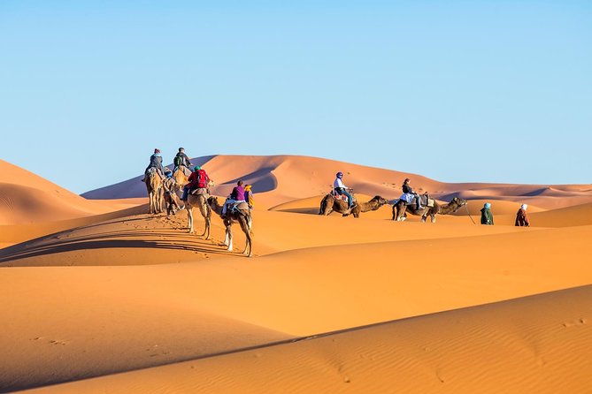 3 Day Sahara Desert Tour From Marrakech - Transportation and Pickup